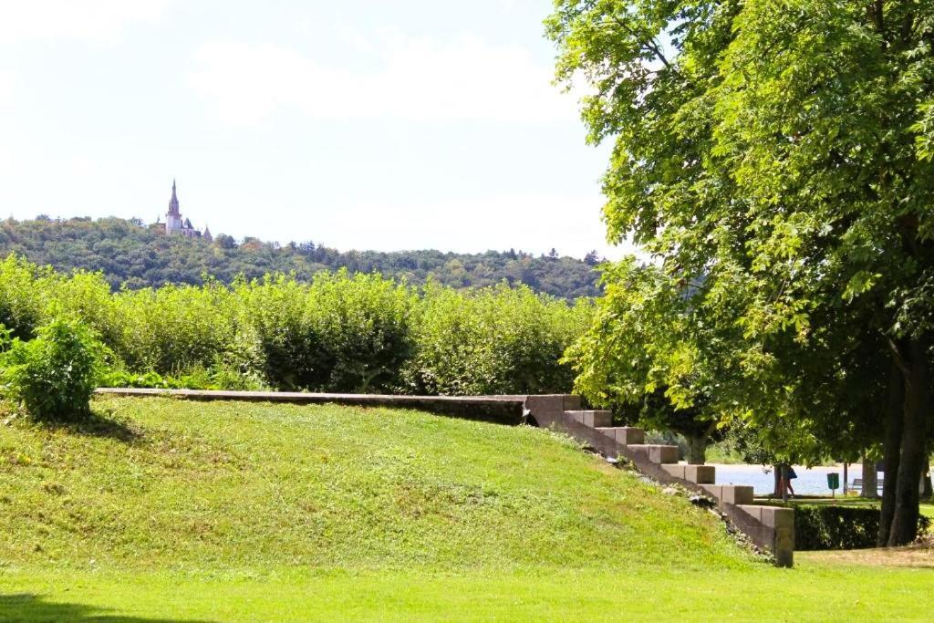 Top Ruedesheim am Rhein Ngoại thất bức ảnh